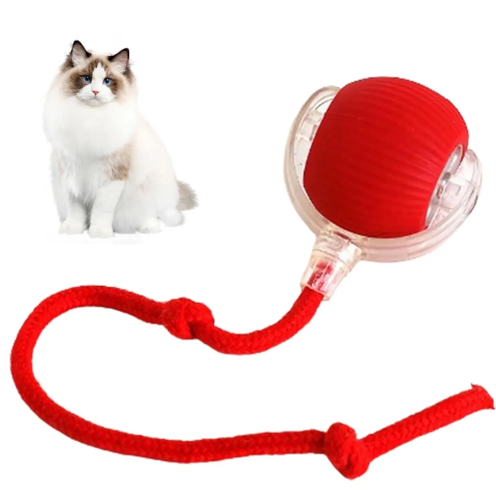 Rolling Ball Dog Toy-Sale✨