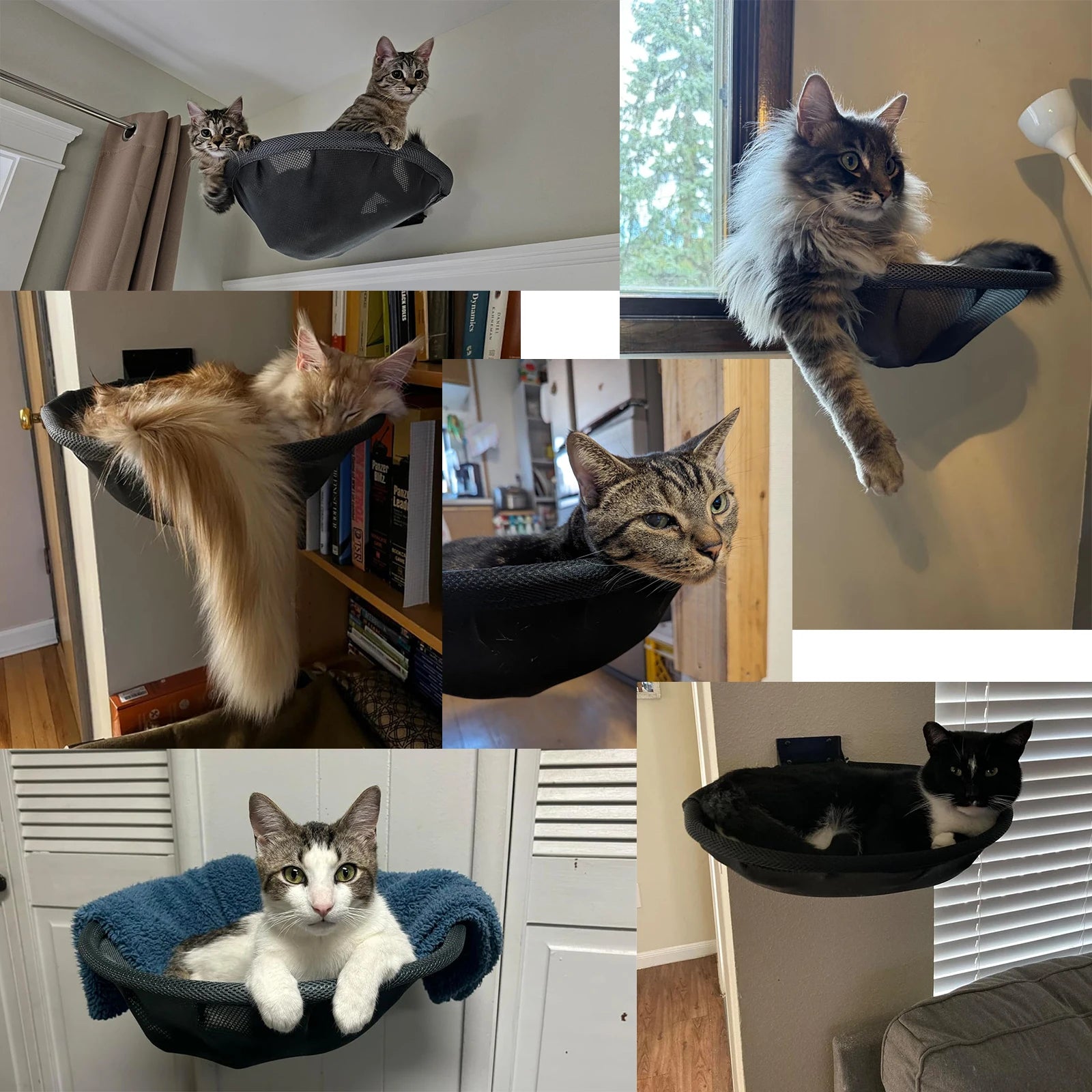 Cat Hammock Bed