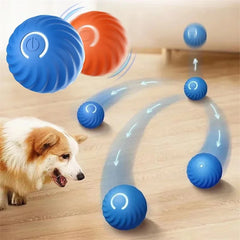 Lettuce Interactive Cat Toys Rolling Ball