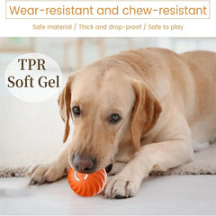 Lettuce Interactive Cat Toys Rolling Ball