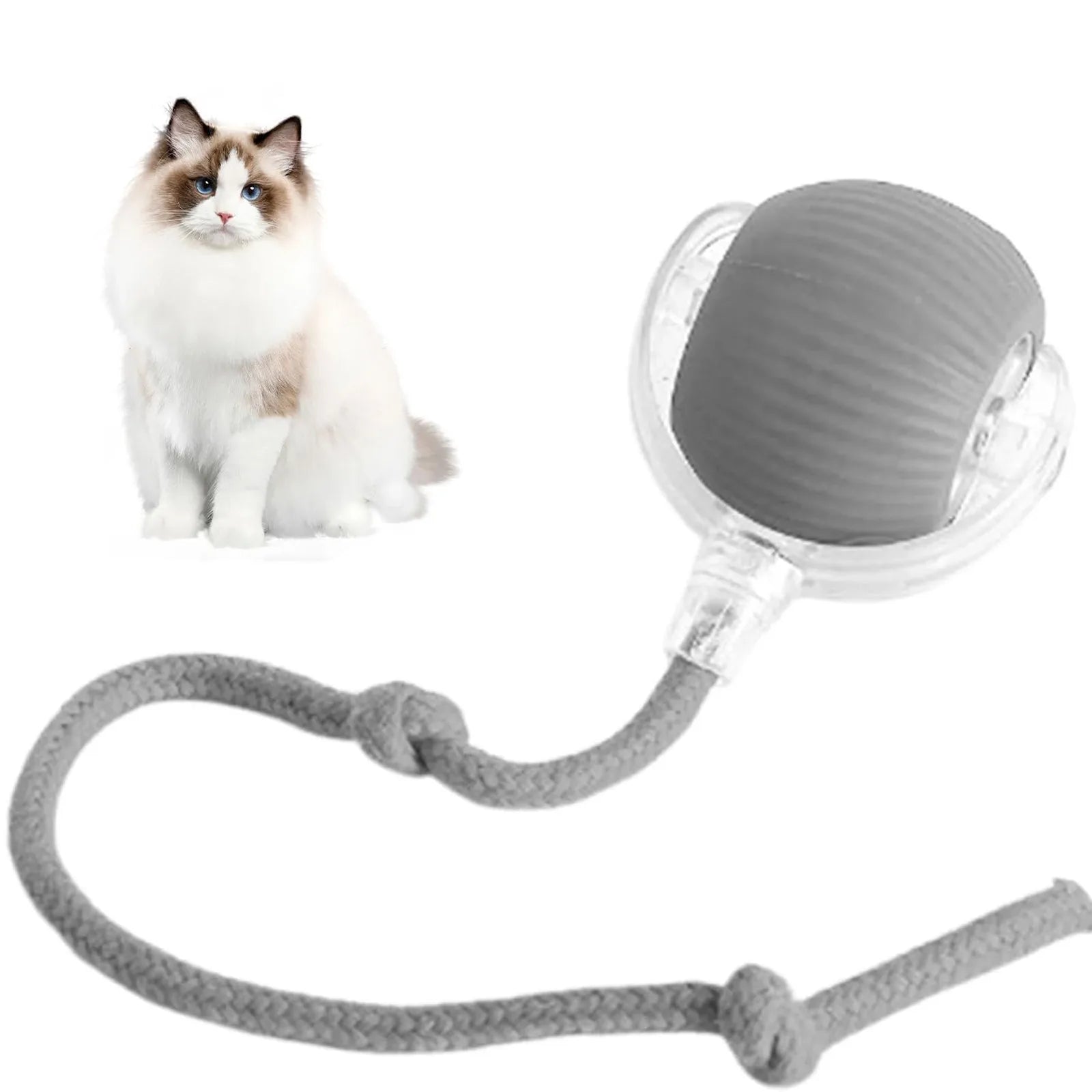 Rolling Ball Dog Toy-Sale✨